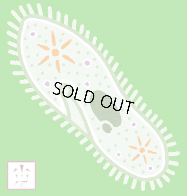 画像3: ゾウリムシ 900ml (3)