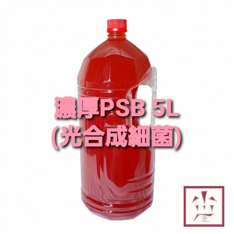 高濃度 PSB 5L【稚魚の生残率UP】