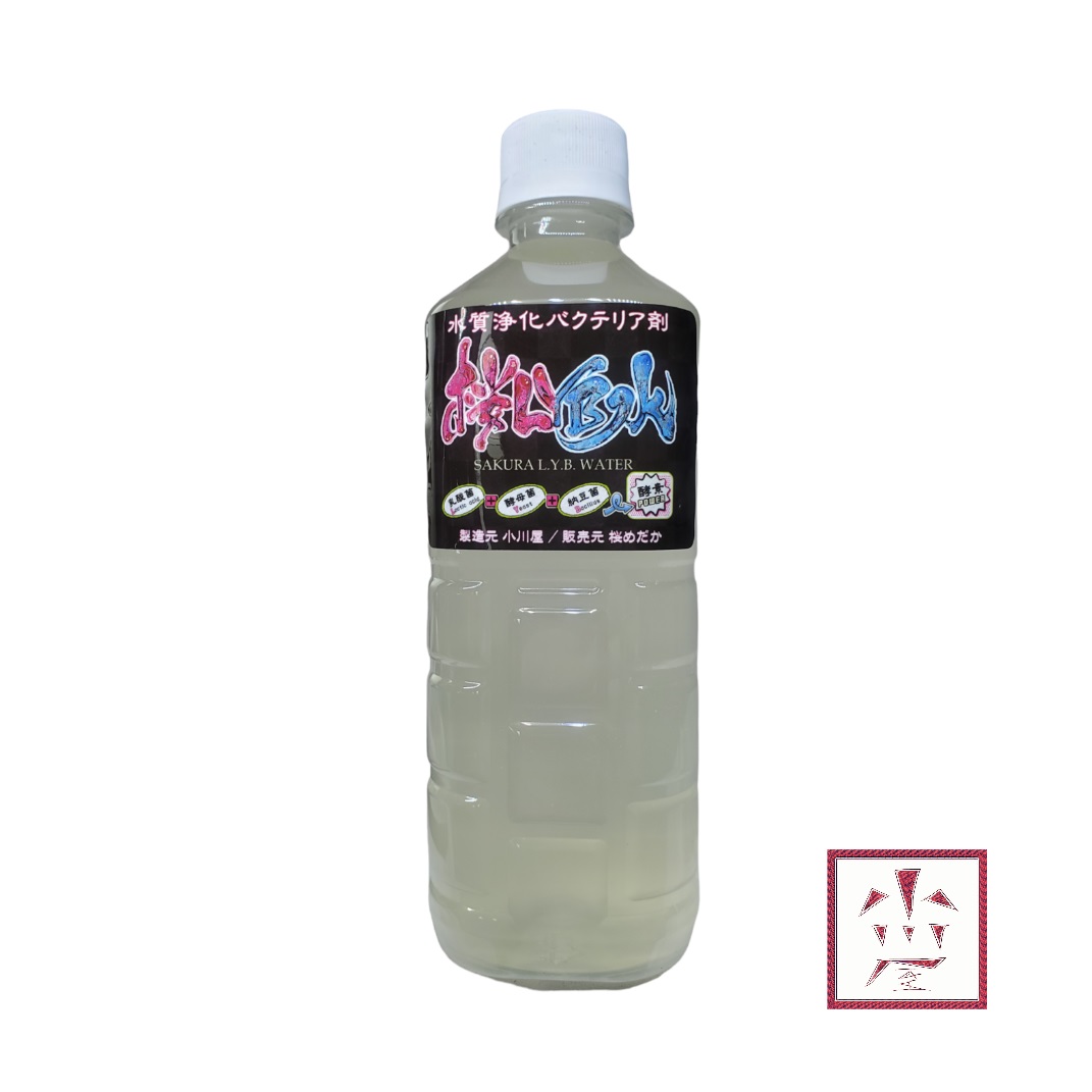 【水質浄化】 桜 LYB 水 500ml 【バクテリア液】